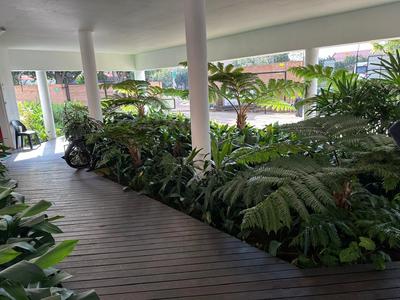 Commercial Property For Rent in Menlo Park, Pretoria